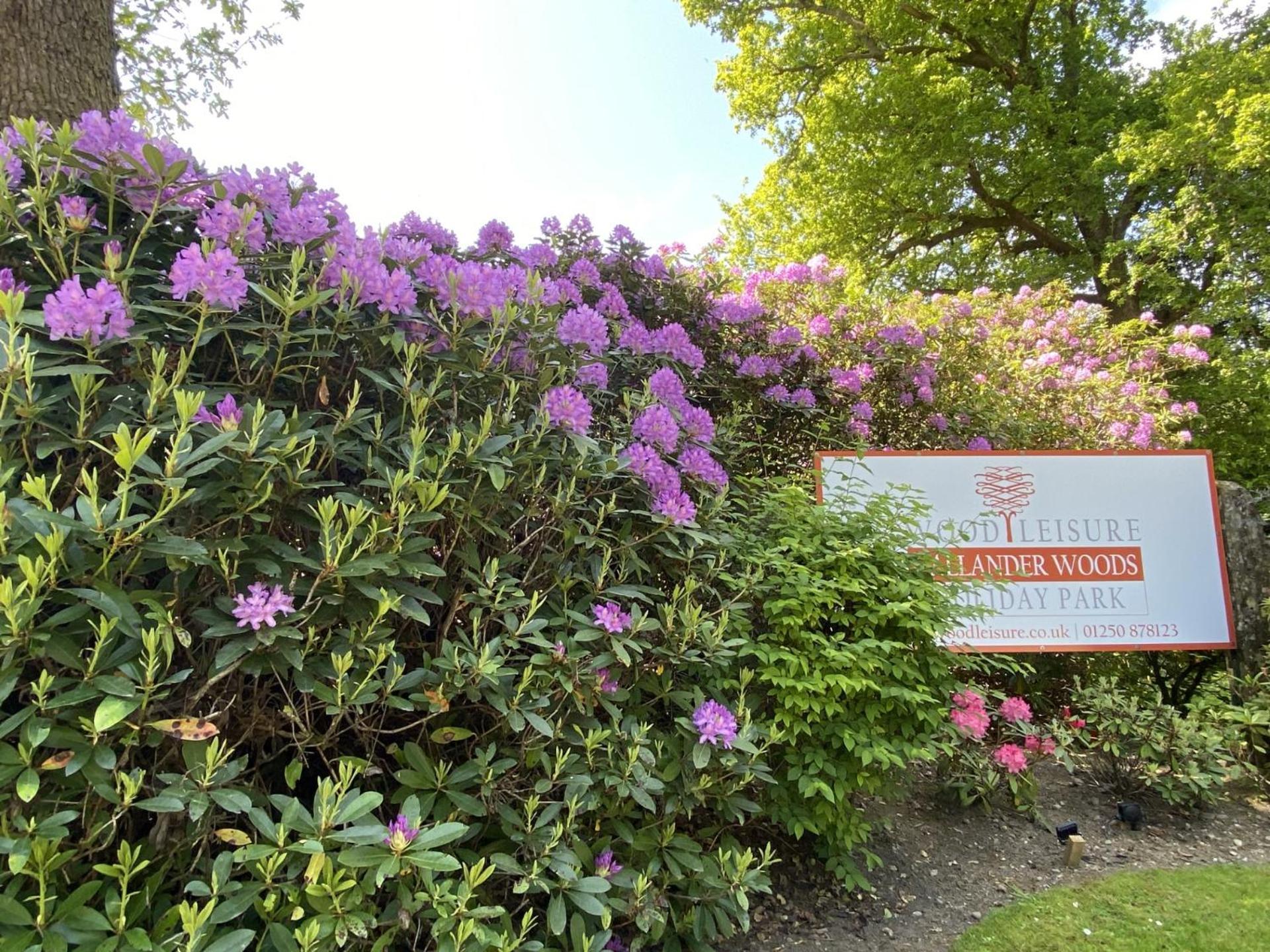 Callander Woods Holiday Park Eksteriør billede